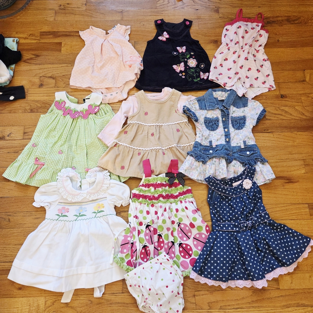9-12 Month Baby Girl Clothing Bundle
